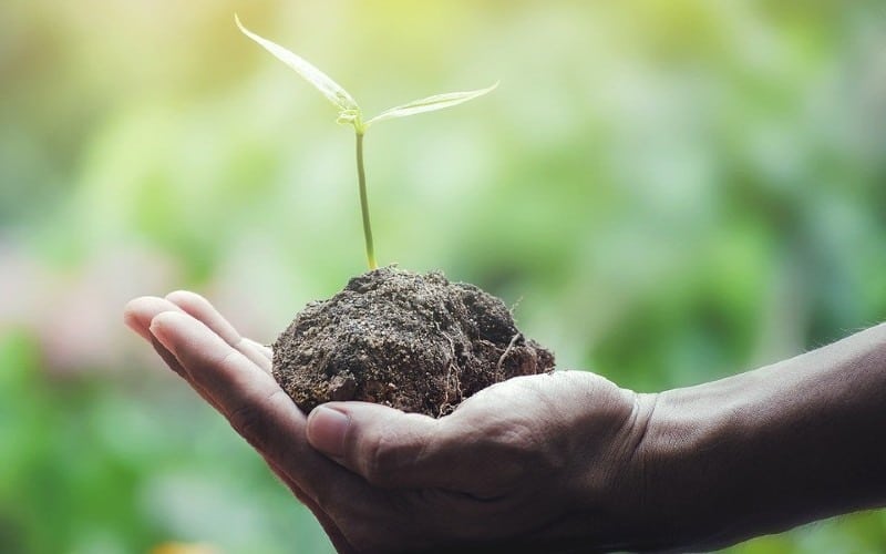Países que más contribuyen al ecologismo