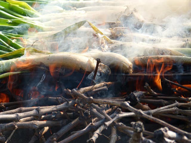 Cómo hacer una calçotada