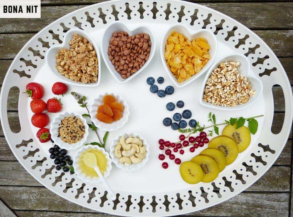 aliemnatcion saludable