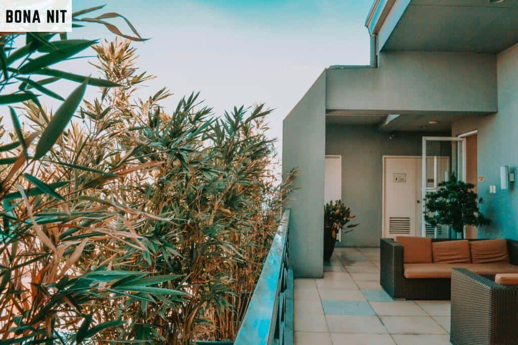 green palm tree near white concrete building during daytime