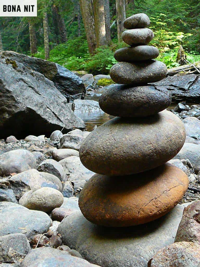 Los Beneficios de la Meditación: Un Viaje Hacia el Bienestar