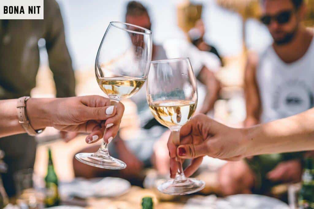 Guía para principiantes en catas de vino